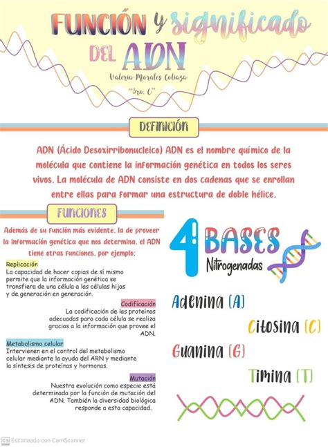 Adn-341. Adn-341