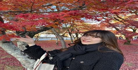 Download english subtitles for juq704 starring miki mihama.