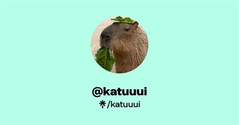 Ver en a la carta 1k ถูกใจ,59 ความคิดเห็นวิดีโอ tiktok จาก katuuui @katuuui น้องง เกือบแล้ว 🥹 katuuuiเกือบแล้วค่ะ 🫣original sound katuuui katuuui.