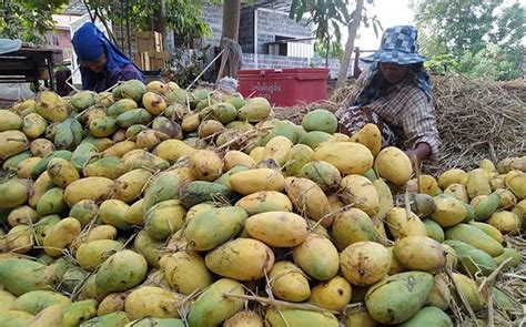 Orgjobsdetail16980 ngo thaingo หางาน job assistant hr.